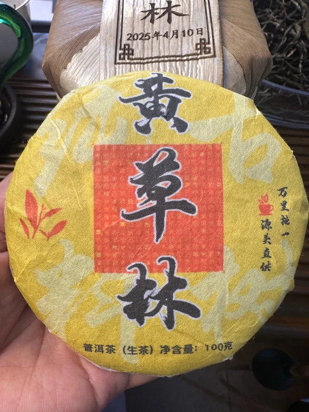 2025年黄草林（香樟树林）头春古树野花蜜韵