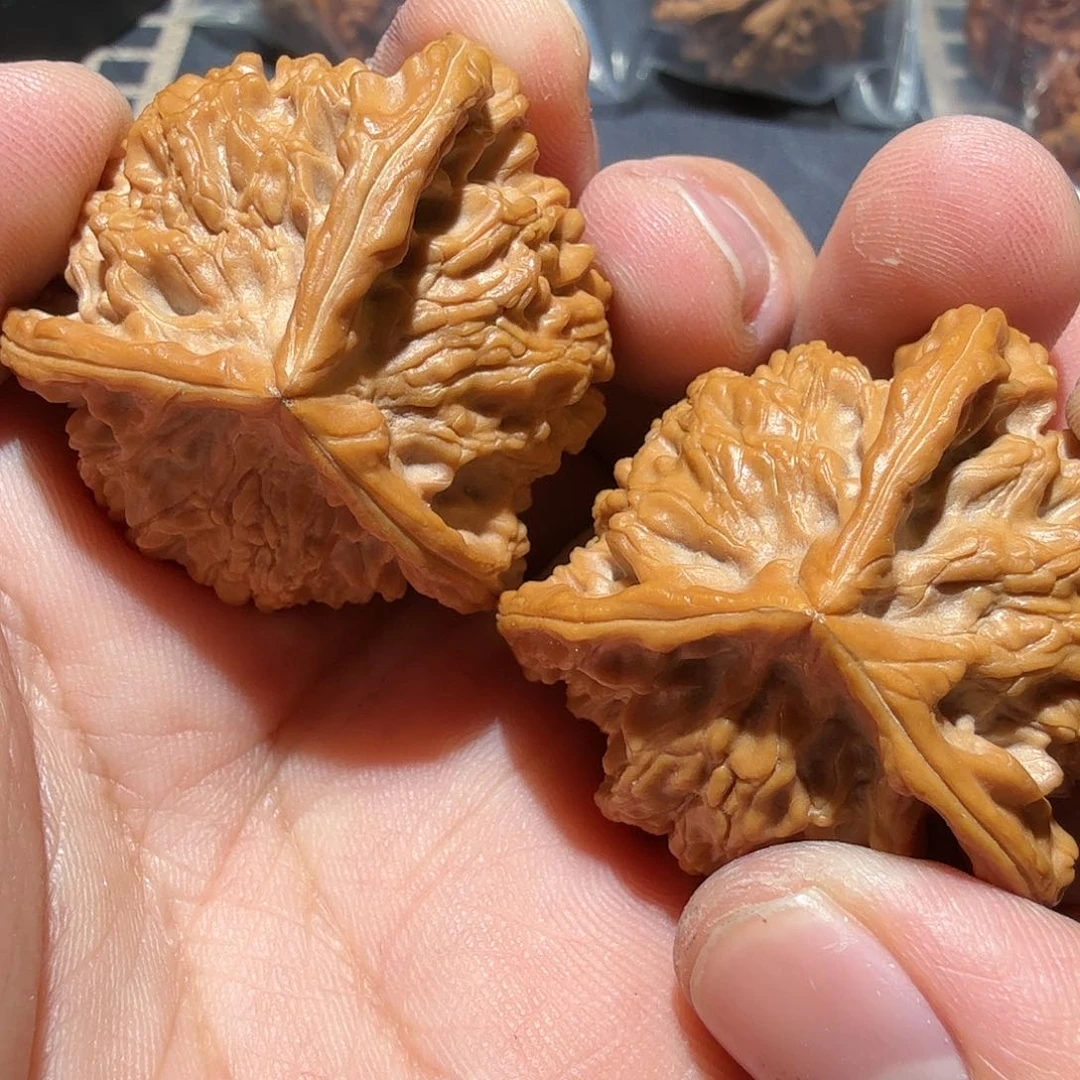 文玩核桃把件公子帽正奔