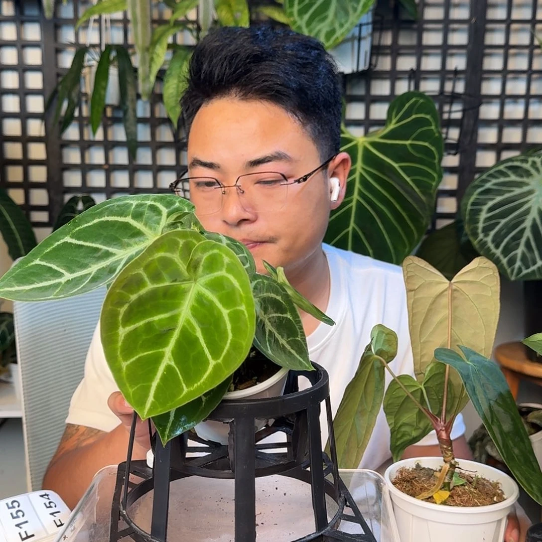 无花朵✨****✨一物一拍F151