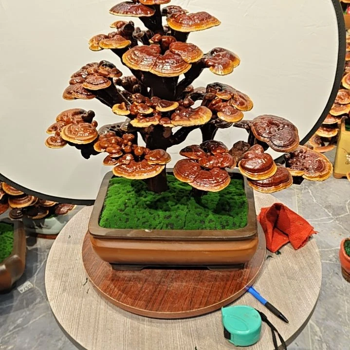 灵芝盆景高端大气上档次