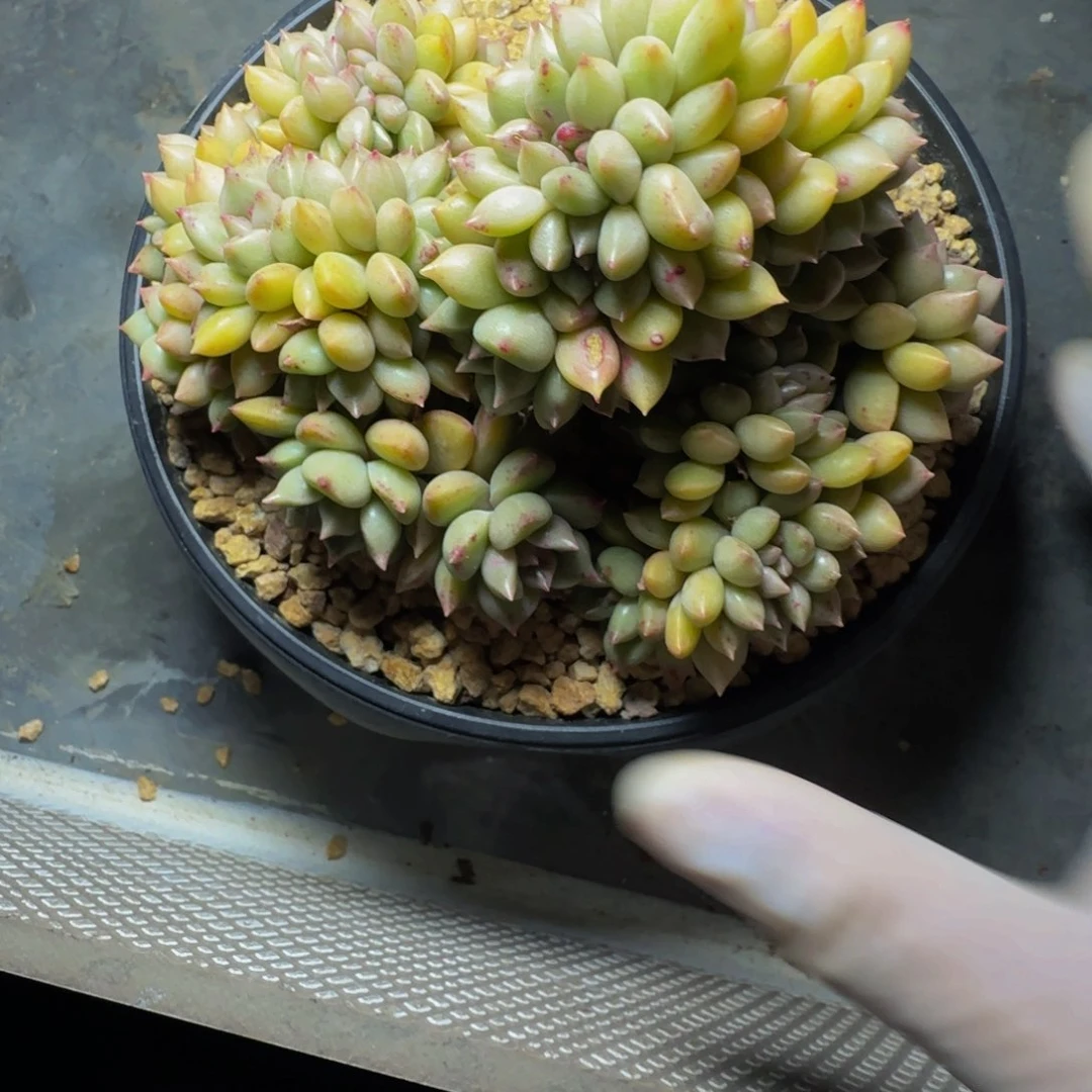 g g g g g g g g g 172