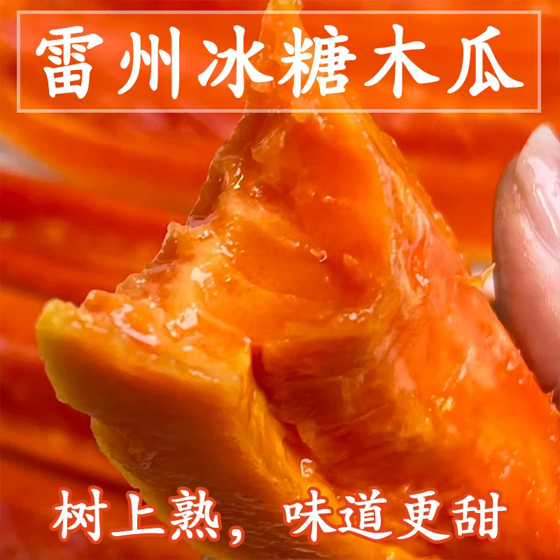 【树上熟雷州冰糖红心木瓜】新鲜水果现摘包邮产地直发