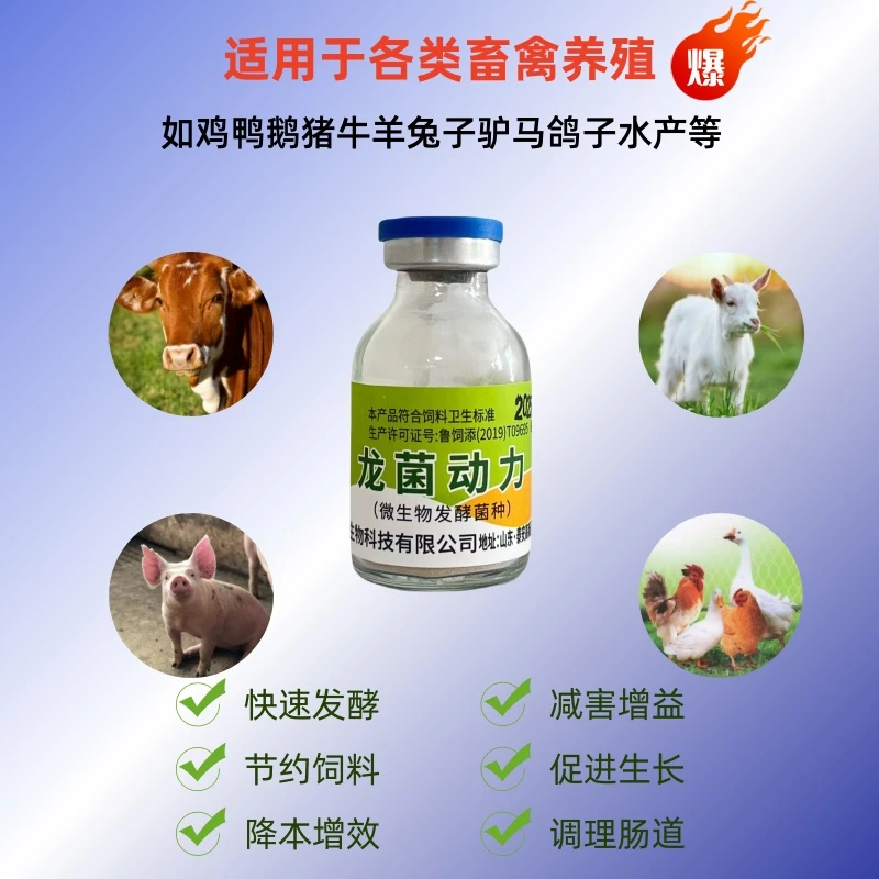 龙菌动力微生物干净专用发酵菌种专为养殖研发的菌种厂家直销