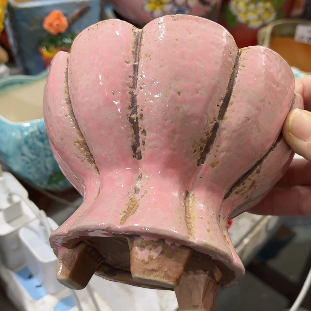 【闪购商品】红陶福利