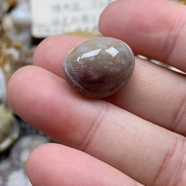 颈饰未镶嵌硅化珊瑚（珊瑚玉）用****1