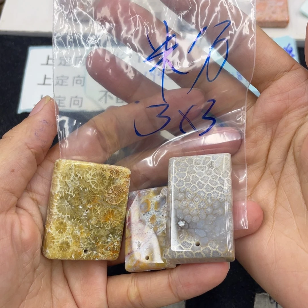 硅化珊瑚（珊瑚玉）合金颈饰粉