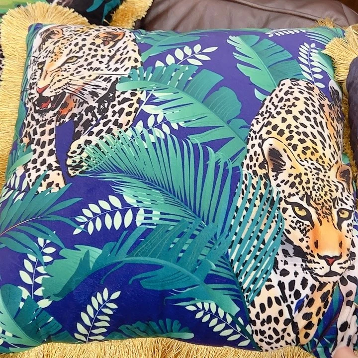 高货摆件的绿植盆栽绿植