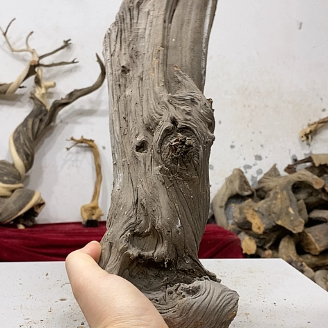 【闪购商品】柏木忆*我们都是好孩子啊