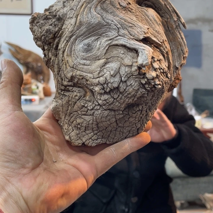 罗*曼我们都是好孩子呀