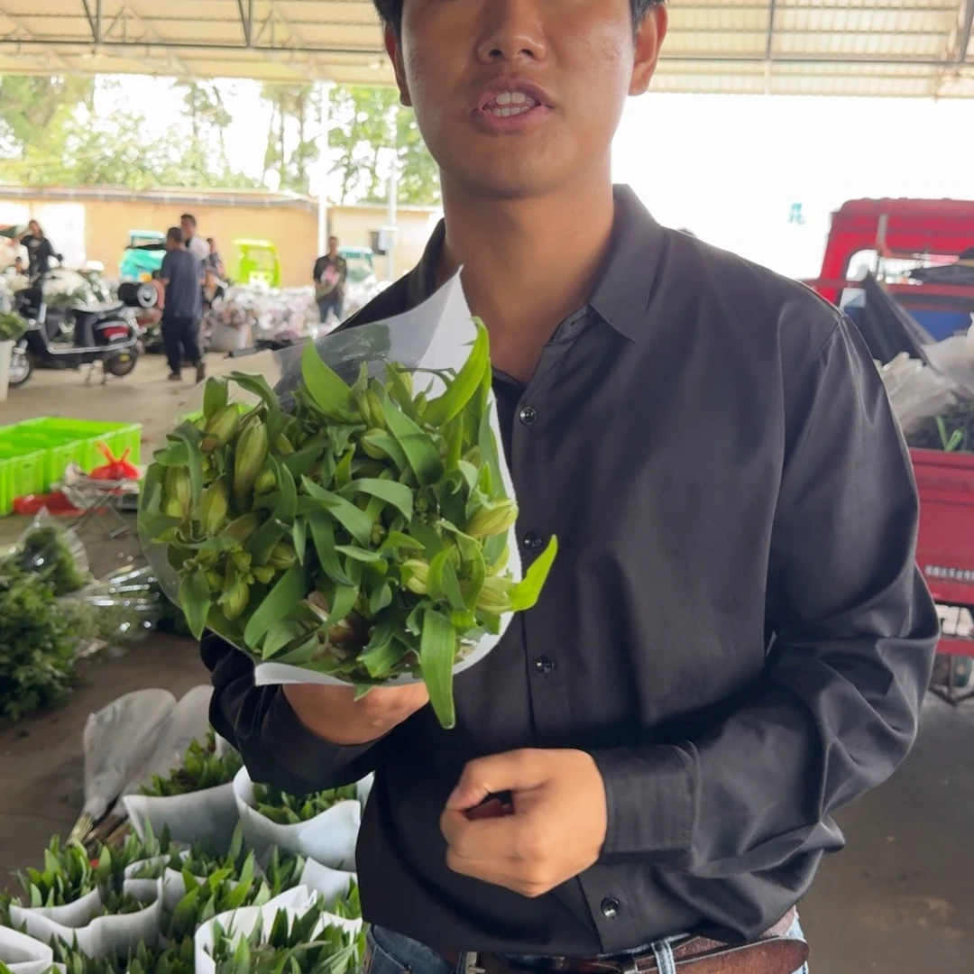 粉色六初花1扎包邮价秒杀
