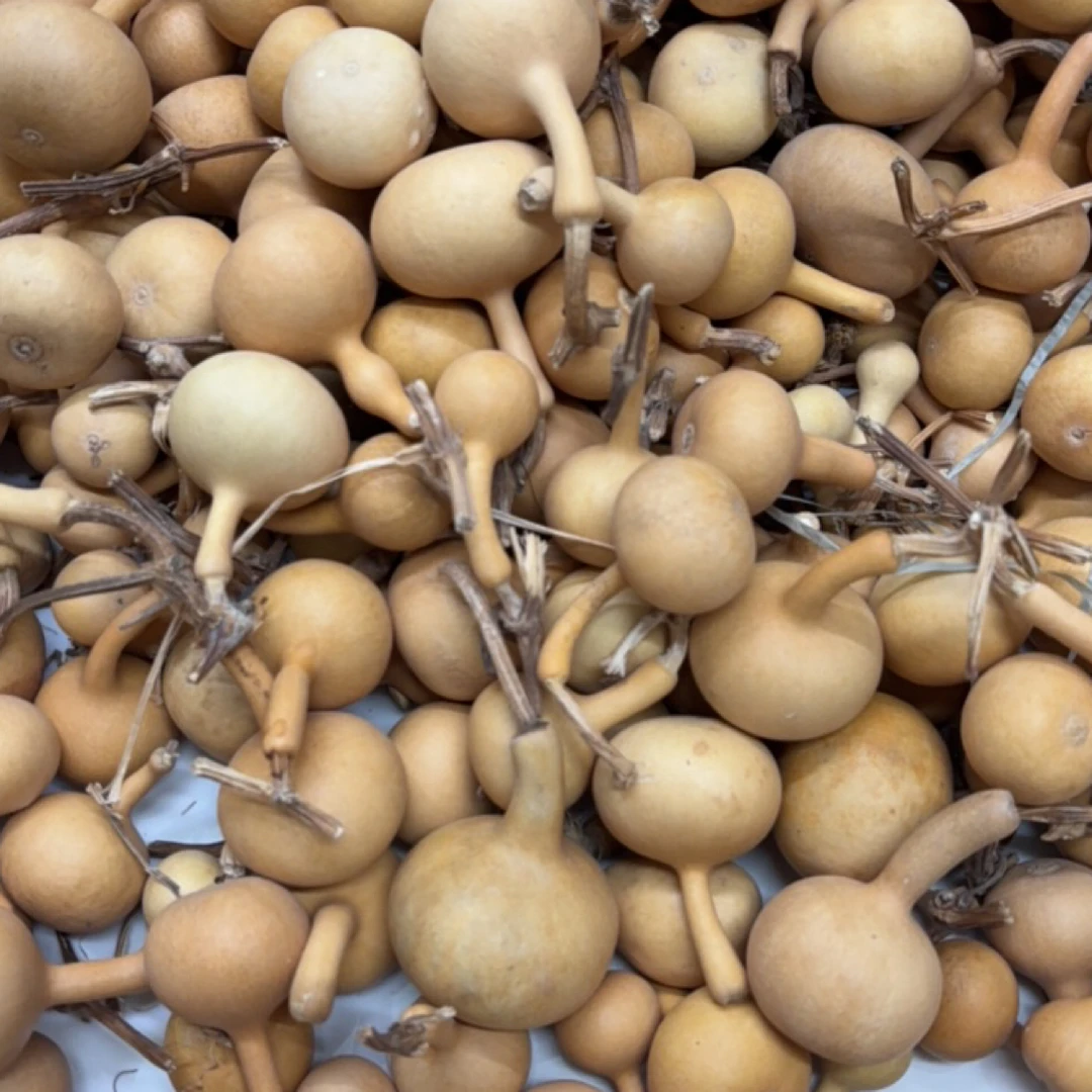 瑕疵葫芦处理拍下不退不换介意勿拍（不包龙头）