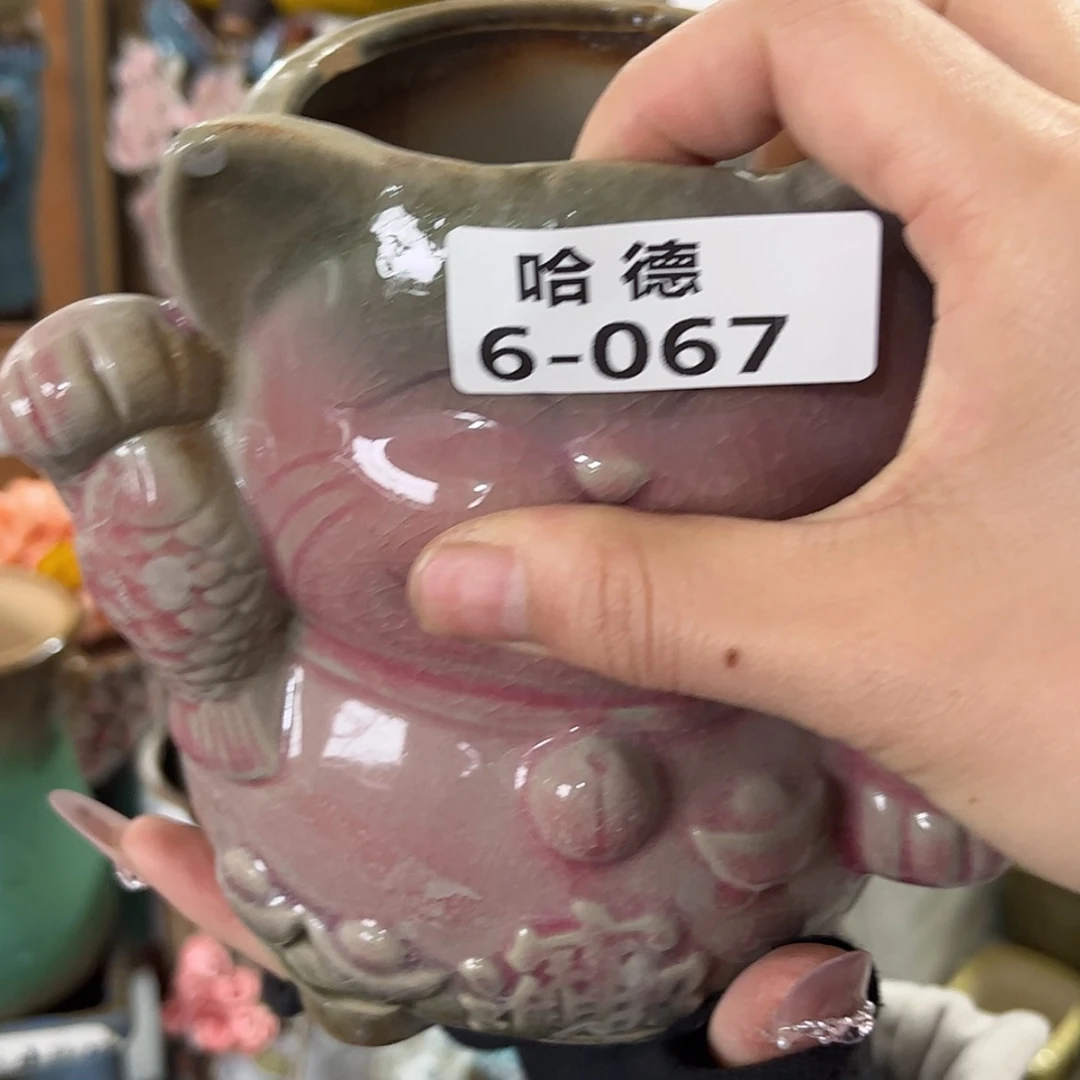 【闪购商品】红陶福利667