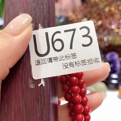 大叶紫檀（黑酸枝木类）673