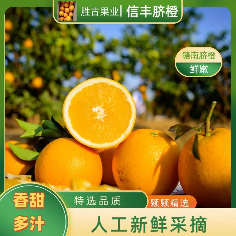 【雨馨专属】正宗赣南脐橙香甜爆汁果园直发新鲜橙子