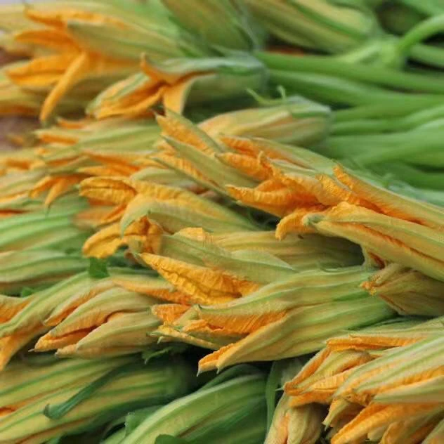 顺丰云南特产农家新鲜南瓜花嫩南瓜芽时令蔬菜煲汤清炒药食南瓜花