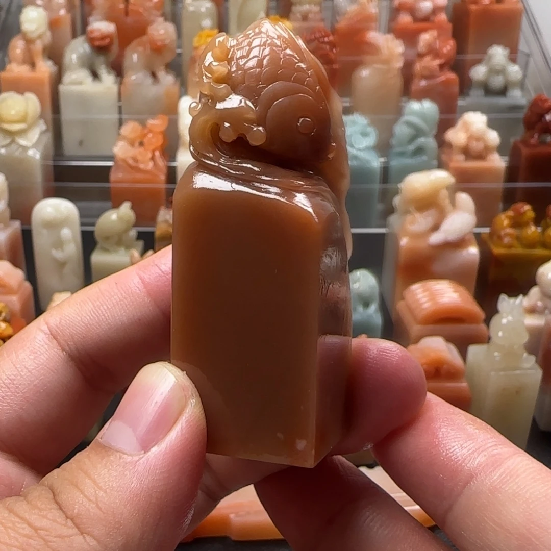 老挝石锦鲤  2.3×6.7