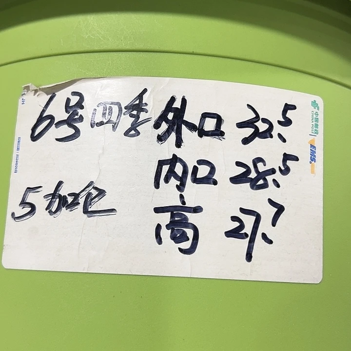 特价6号四季口32.5高27.7果绿无托7只