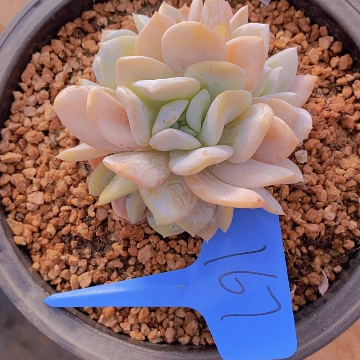 这种事情不可能不