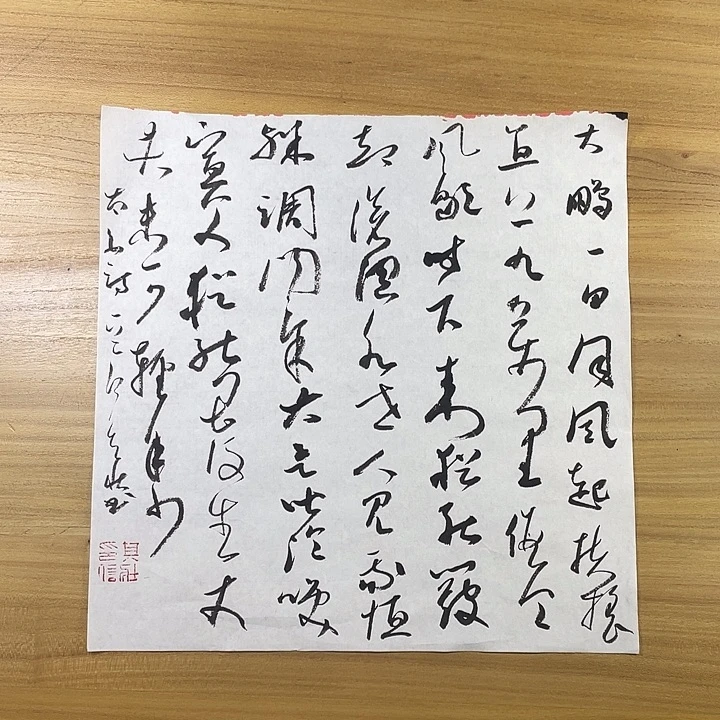 书法中书协会员作品