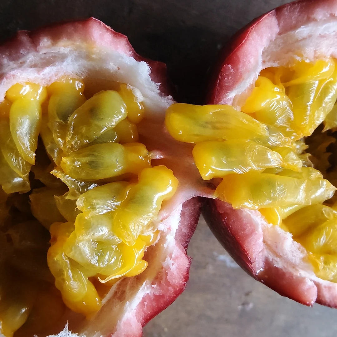 龙陵新鲜现摘酸甜多汁小叶子香1号百香果产地直发当季水果多依果