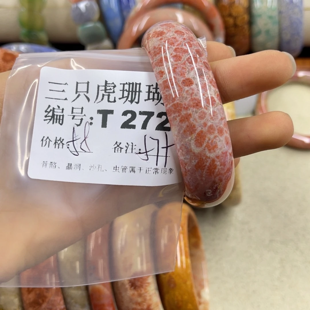 *****硅化珊瑚（珊瑚玉）未镶嵌h