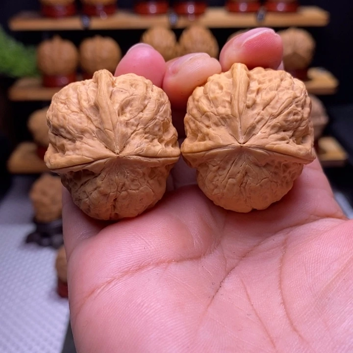 核桃云铁寿桃三棱21号