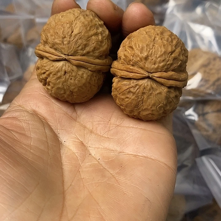 核桃云南铁核桃基地27