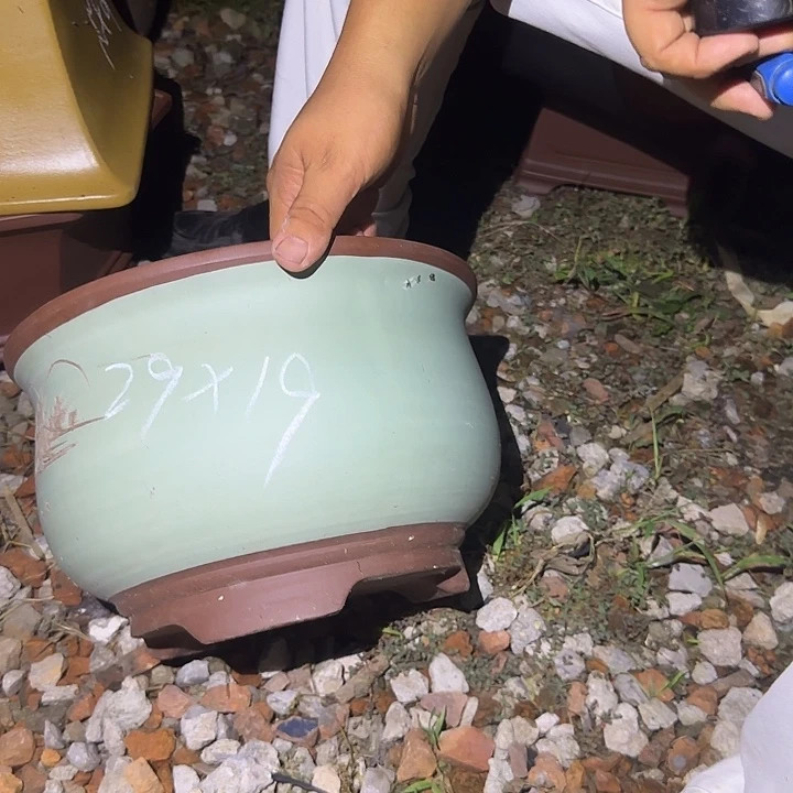 紫砂花盆盆景盆盆景花盆