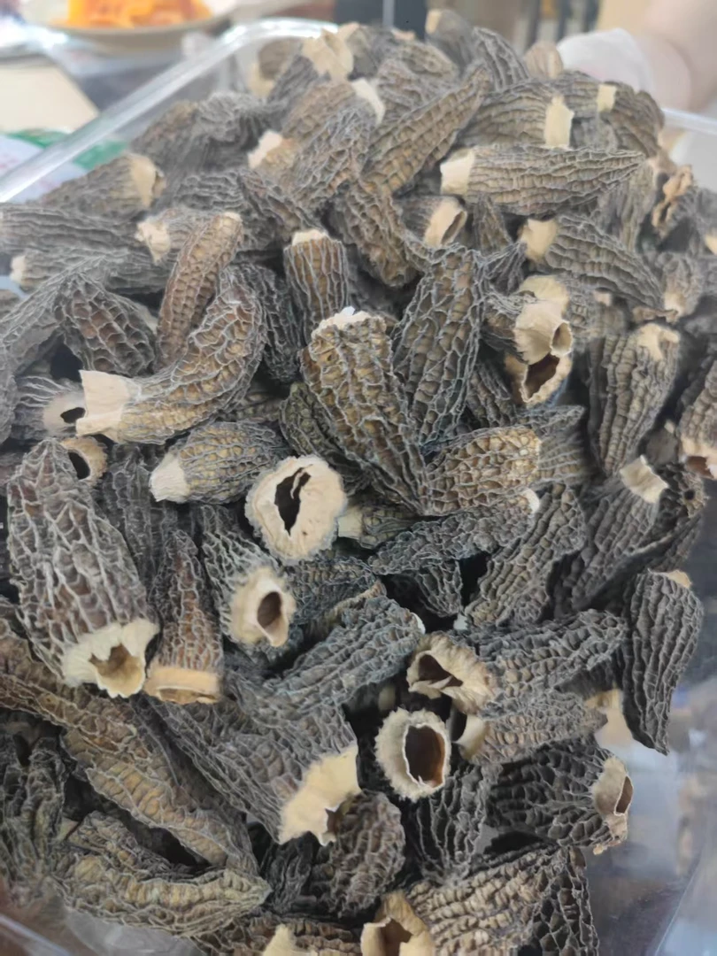 【好滋味】【精选】  羊肚菌（4.8）