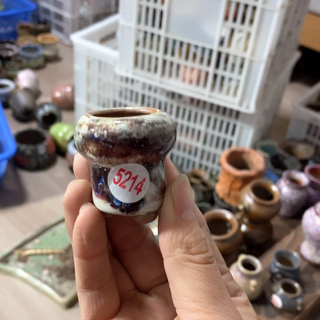 橘*酱拍5送一个小礼物