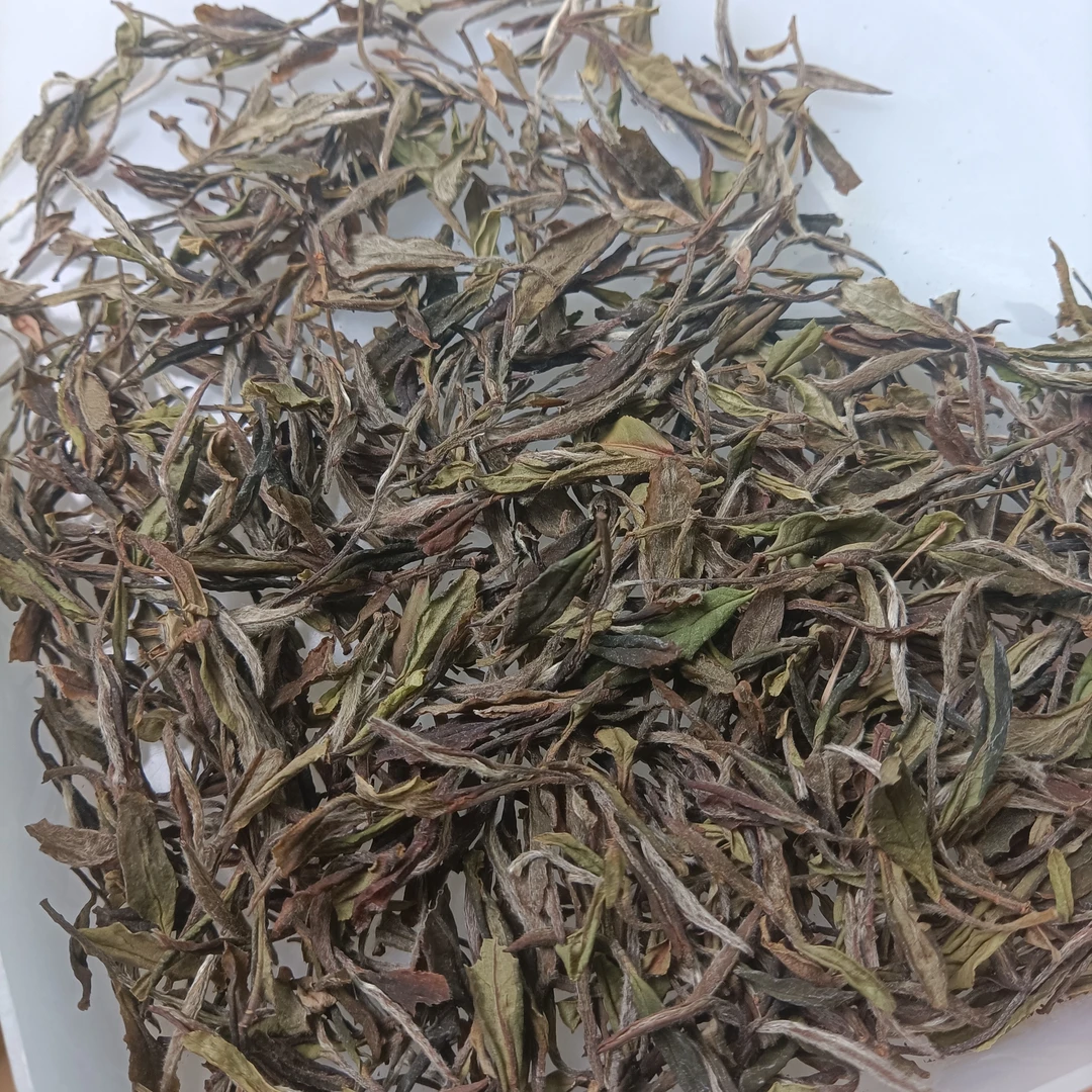 2019年贡眉 福鼎普照山白茶