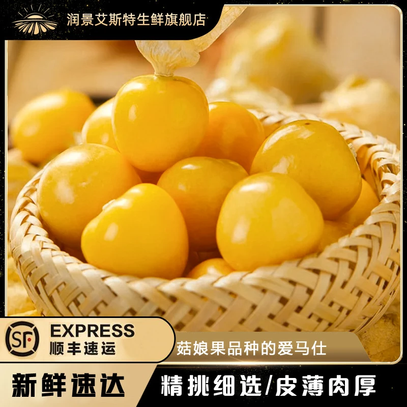 丹东黄金豆东北新鲜精选黄菇娘果芳香香甜美味大果