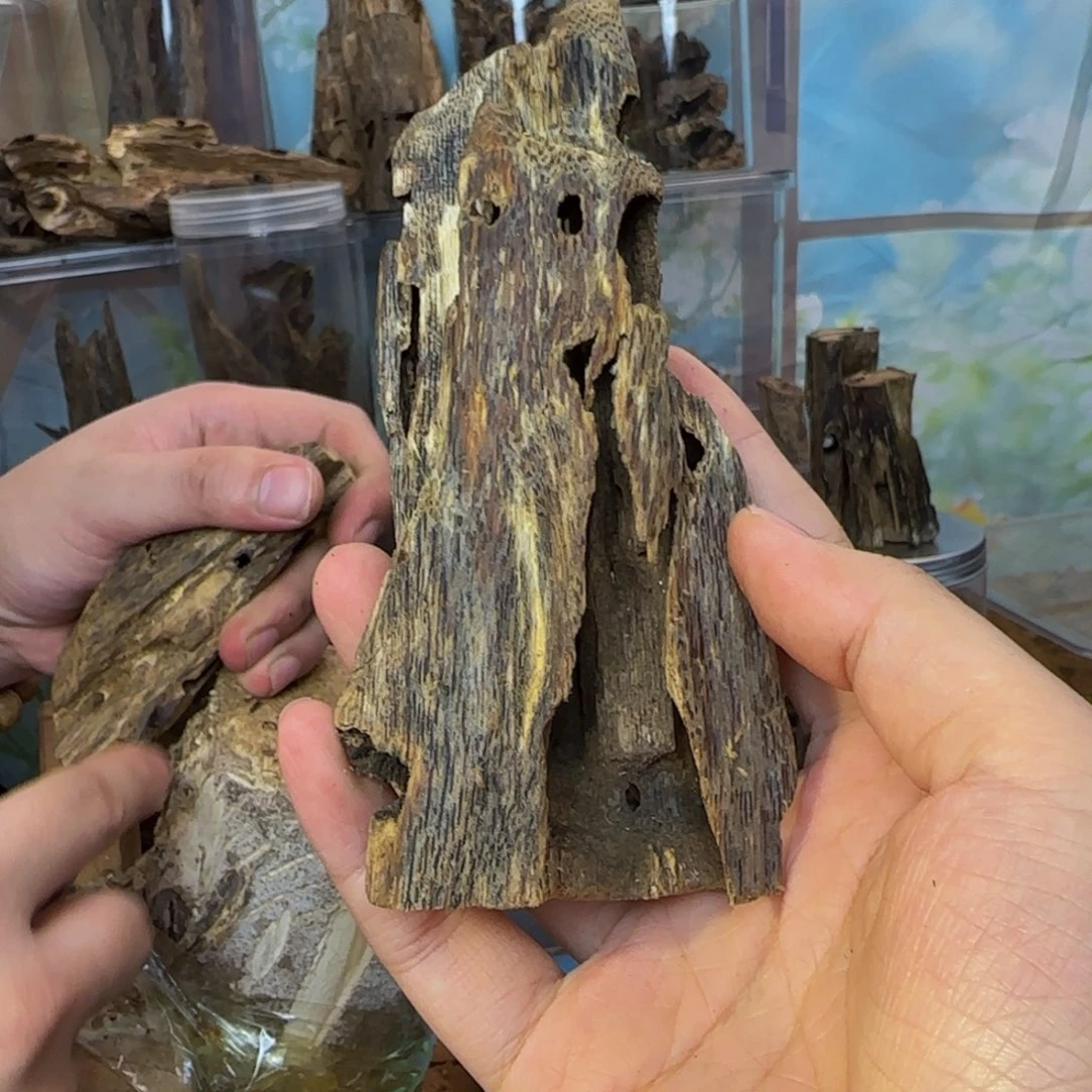 沉香沉香碎屑32克15白棋