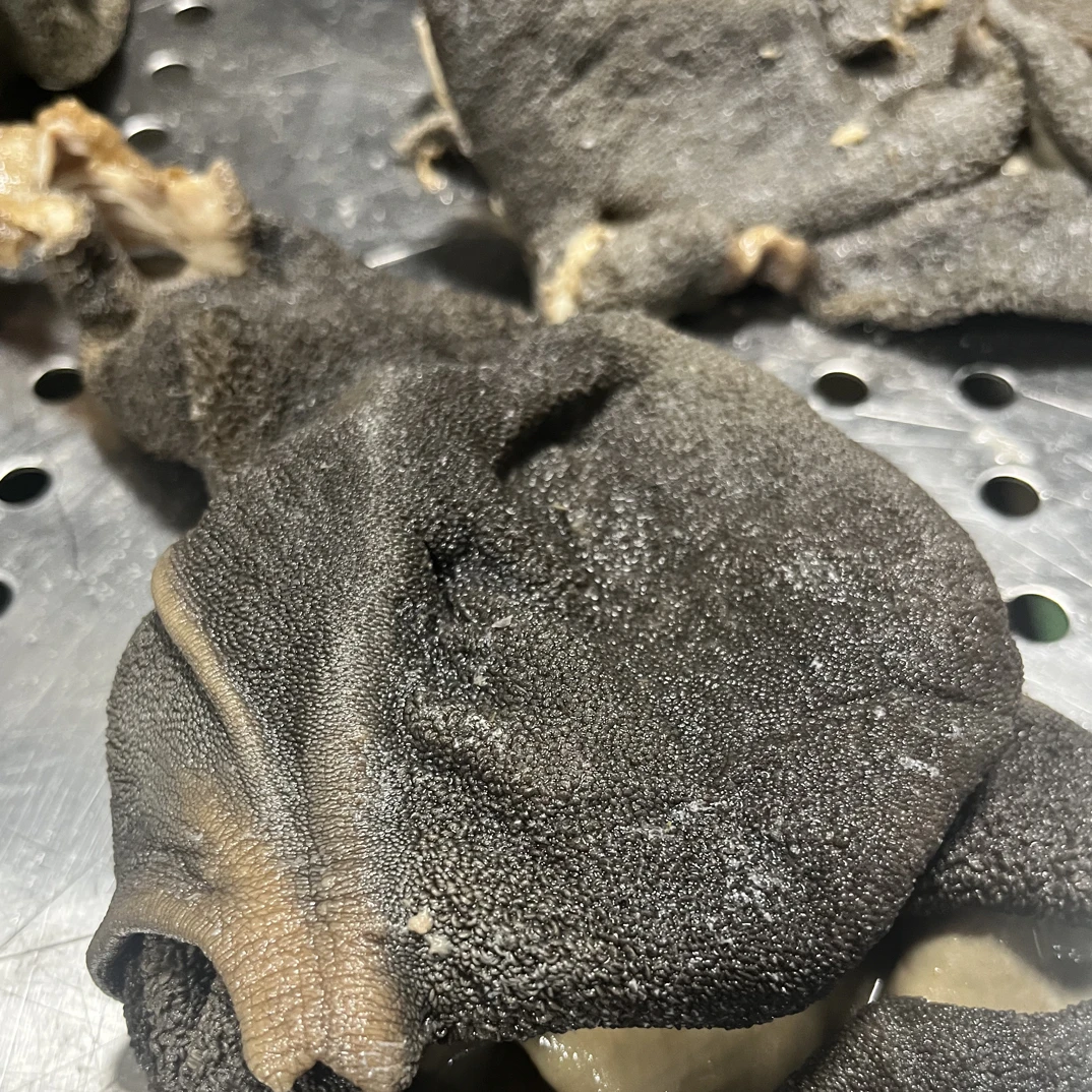 酱香羊肚开袋即食