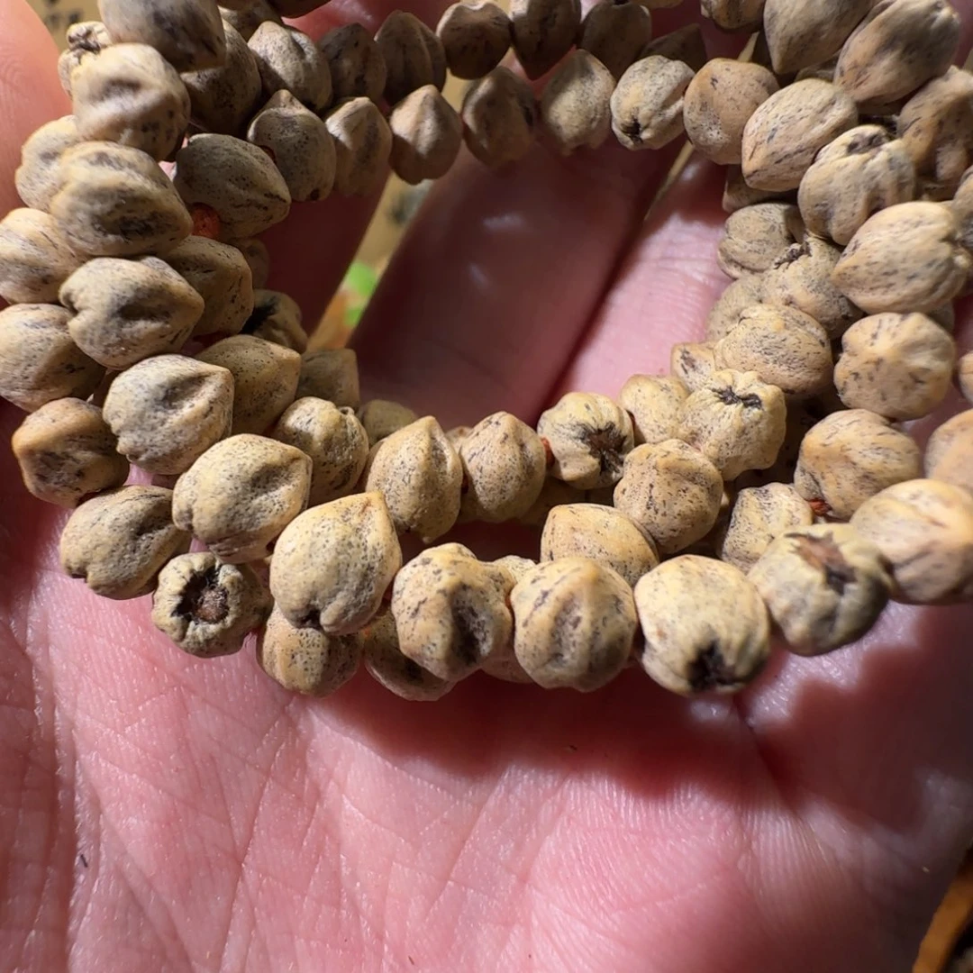 柏香籽/百香籽吊坠