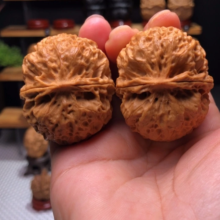 【闪购商品】臻龙绣球17