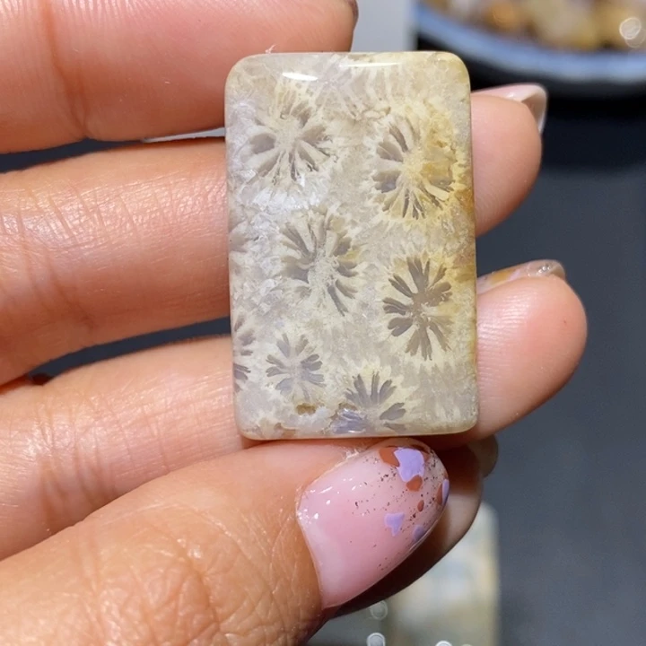 【闪购商品】未镶嵌珊瑚玉硅化玉