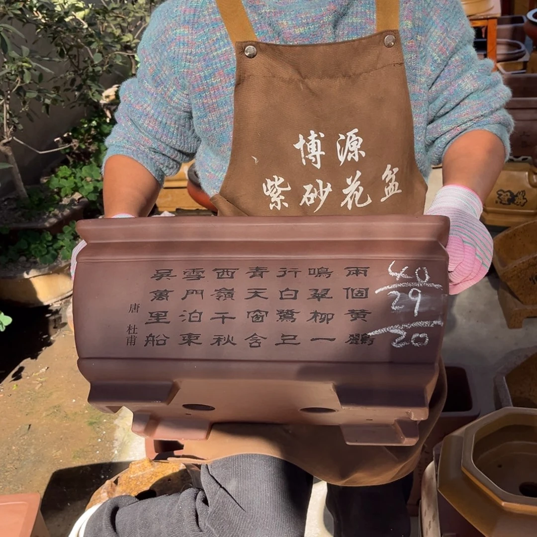 紫砂花盆盆景艺术