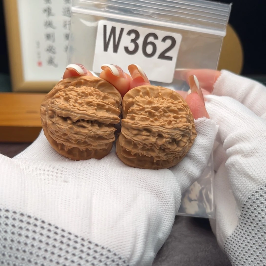 文玩核桃把件41白狮子w 362