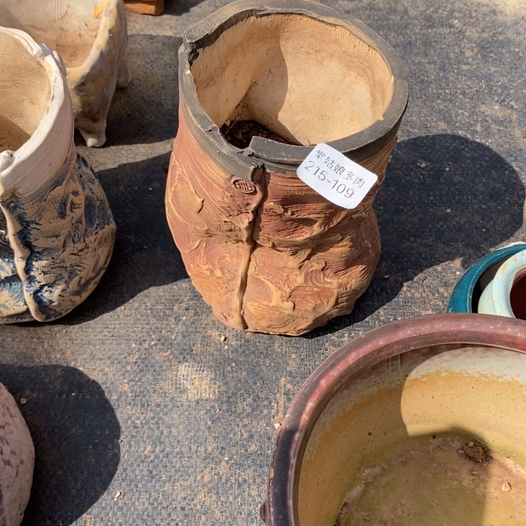 红陶A***n109号多肉盆一个呀