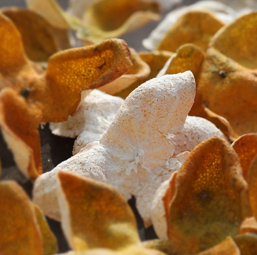 S  2005年梅江塞口围母树新会陈皮