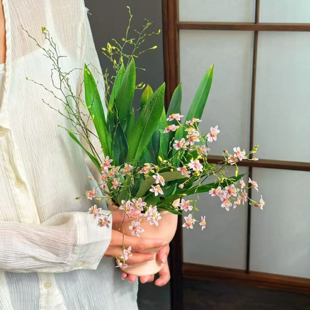 粉色文心兰室内装饰桌面花苞装饰花卉