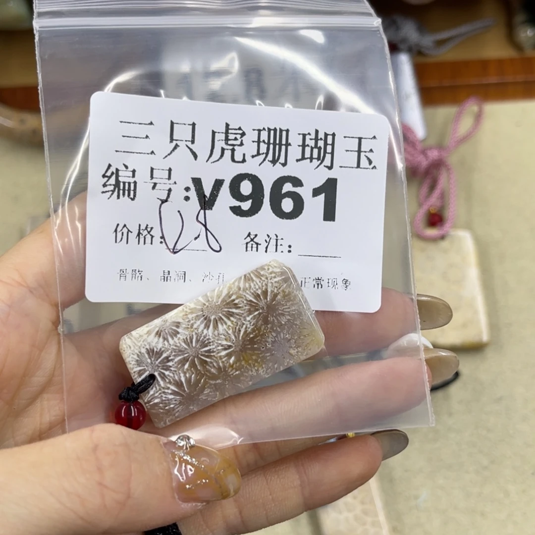 夏***峦硅化珊瑚（珊瑚玉）未镶嵌h