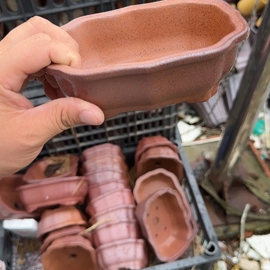 你就在家里吃好吧亲爱你不在