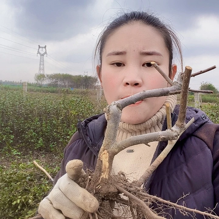 完全开放手**香1111111111