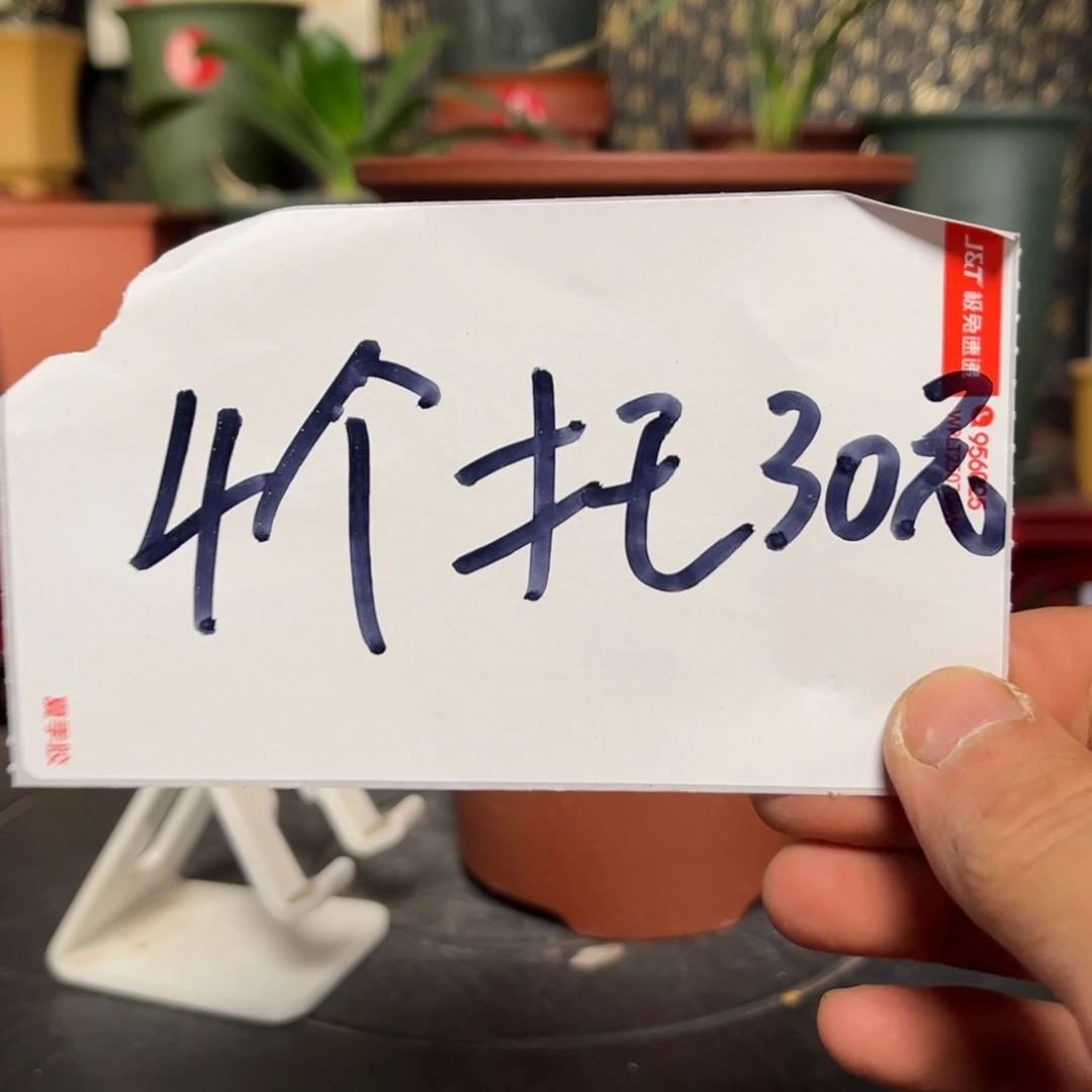 ･***･紫砂花盆紫砂花盆