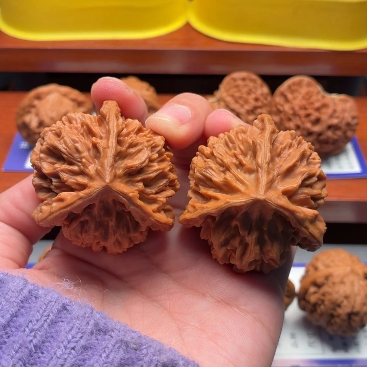 核桃21号 全品46尺龙鳞帝王