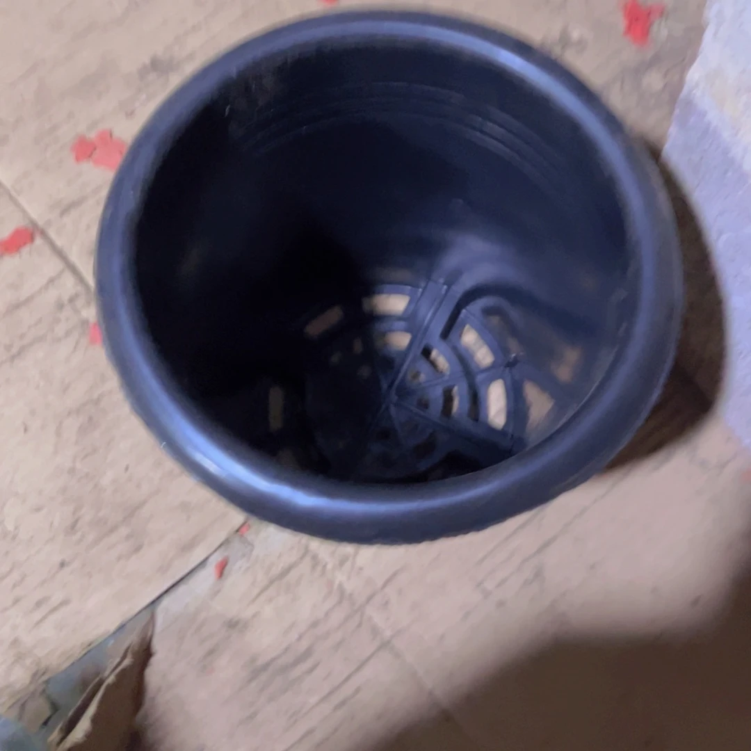 塑料20公分黑万象盆 10个