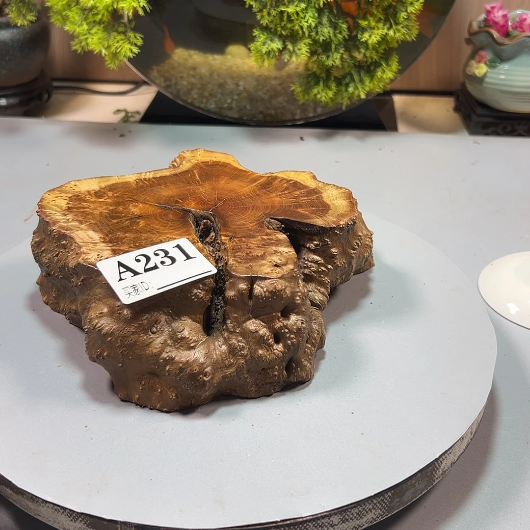 大果紫檀（缅甸花梨）柠*?