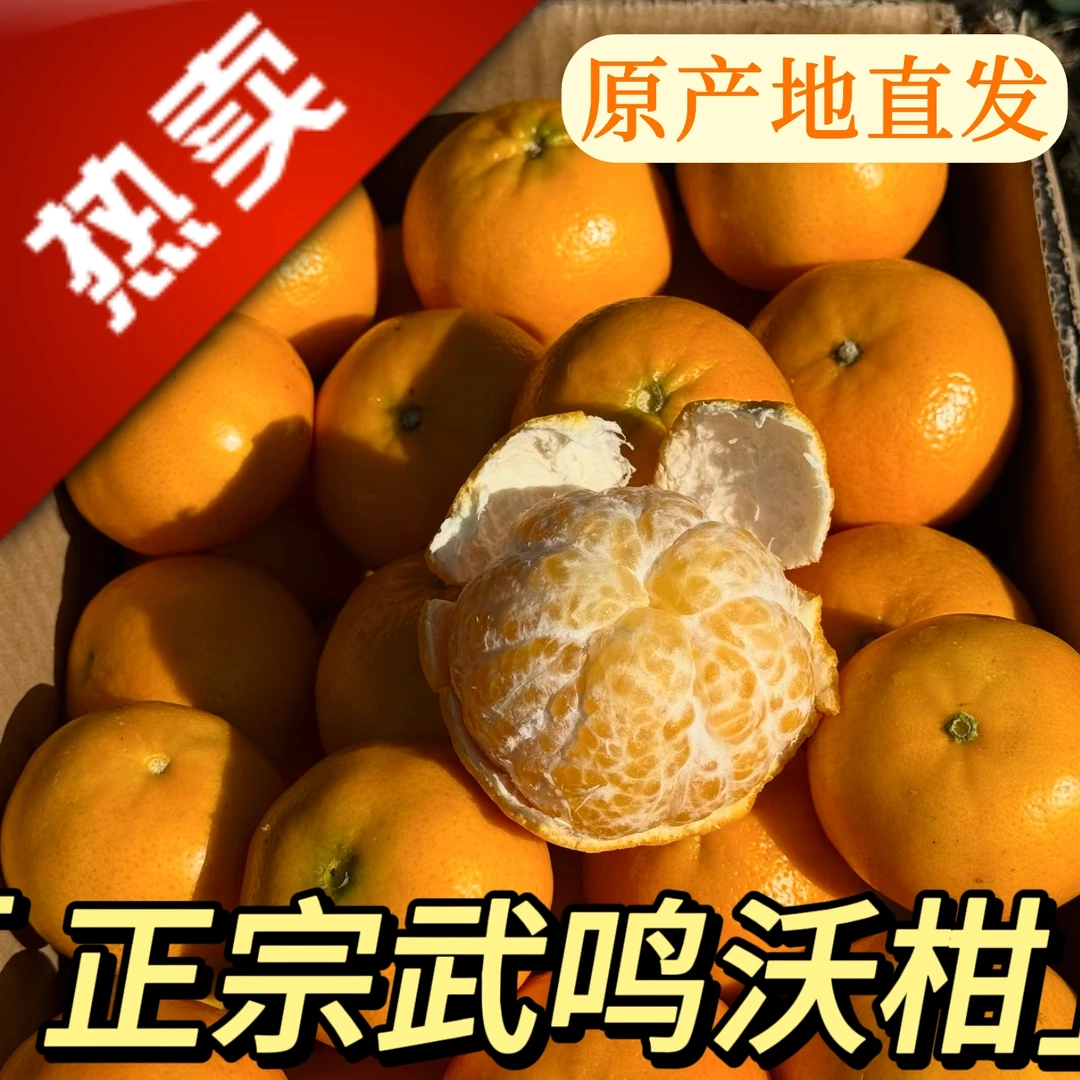 广西武鸣沃柑水果当季应季新鲜橘子当季桔子现摘现发柑橘香甜多汁